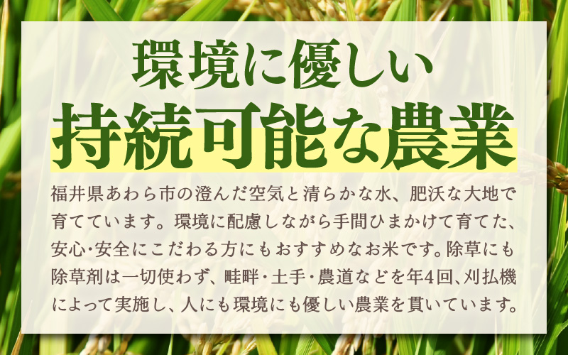 令和7年産 あきさかり　無洗米 10kg × 1袋（計10kg） ／ 米 10キロ 福井県産 ブランド米 あきさかり ご飯 白米 新鮮 高品質米 [aw121-b004]