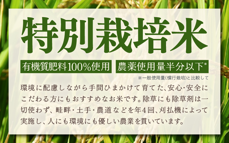 定期便 ≪12ヶ月連続お届け≫ 令和7年産 特別栽培米 コシヒカリ 精米 5kg×12回（計60kg） [aw121-n001]