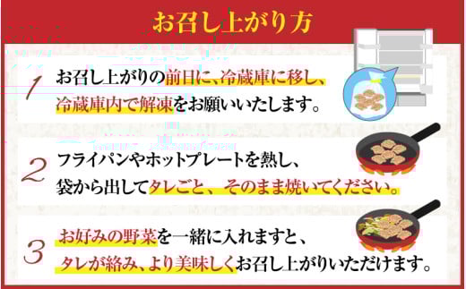 越前ホルモン屋 味噌漬け 人気ホルモンセット（計1kg）約8～10人前 ／ 味付け肉 豚肉 牛肉 小分け タレ漬け 焼肉 バーベキュー 冷凍 人気 キャンプ飯 BBQ 焼くだけ 時短調理 [aw001-a011]