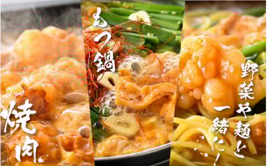 牛味噌 上ホルモン 200g×3袋（1～2人前×3袋） 計600g ＜絶品！炒めるだけ簡単！＞ ／ 味付け 肉 焼肉 BBQ バーベキュー もつ ホルモン 小分け おつまみ 冷凍 アウトドア やみつき 人気 [aw001-a012]