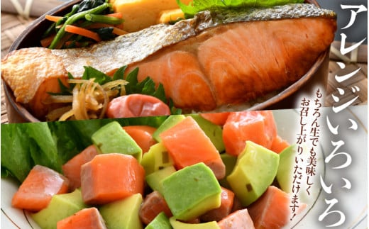 ふくいサーモン 切り身 100g×6切 計600g ＜鮮度抜群！アレンジ自在！真空冷凍＞ ／ 生食OK 刺身 焼き魚 鮭 国産 [aw002-b003]