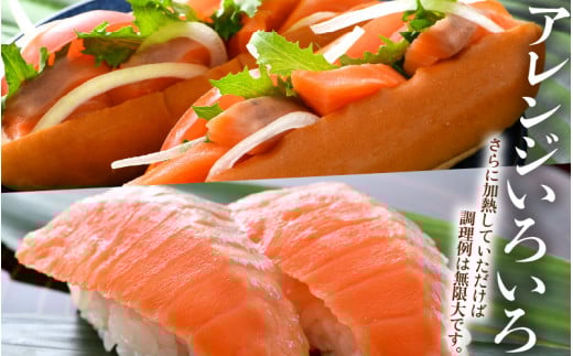 ふくいサーモン 柵どり 150g×4パック 計600g ＜鮮度抜群！アレンジ自在！真空冷凍＞ ／ 生食OK 刺身 鮭 国産 福井県 あわら市 魚 [aw002-b004]