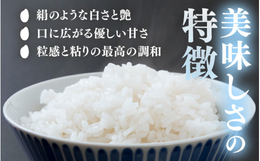 【令和7年産】いちほまれ 真空パック 精米 300g×6個 計1.8kg《ギフトにもおすすめ！化粧箱入り》／ 福井県産 ブランド米 白米 2合 [aw003-a013]