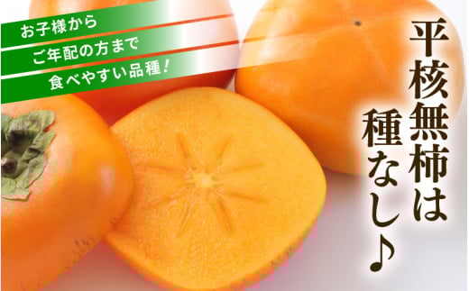 【先行予約】越前柿 16～20玉入 M～2L 《種なしで食べやすく甘い！》 あわらブランド ／ 期間限定 果物 フルーツ 産地直送 旬 お取り寄せ ※2026年10月中旬以降順次発送 [aw003-a006]