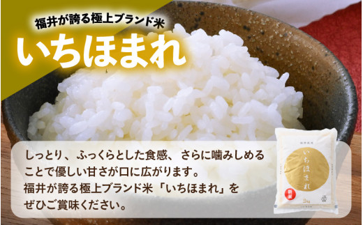 【令和7年産】福井のお米 食べ比べセット 2kg×3種 計6kg ／ 福井県産 ブランド米 ハナエチゼン コシヒカリ いちほまれ 精米 白米 食べ比べ [aw003-b002]