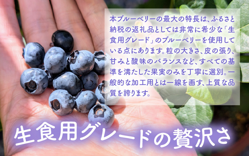 【訳あり】冷凍果実 福井県あわら市産 生食用ブルーベリー 真空冷凍 400g [aw007-a008]