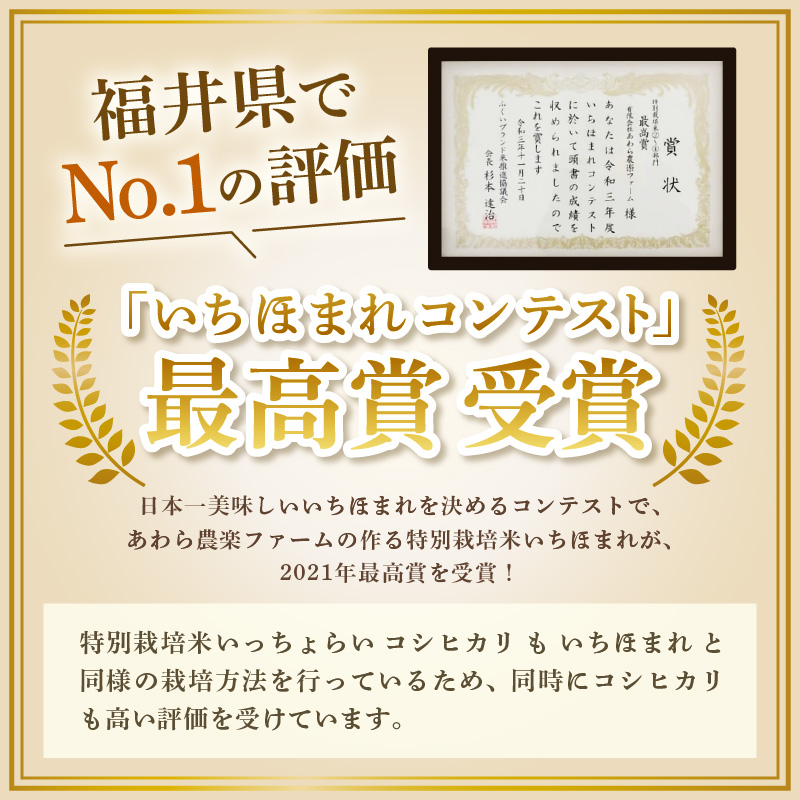 【令和7年産・新米】【一等米】特別栽培米 いっちょらい 無洗米 5kg ／ 福井県産 ブランド米 コシヒカリ ご飯 白米 新鮮 大賞 受賞 [aw012-a023]