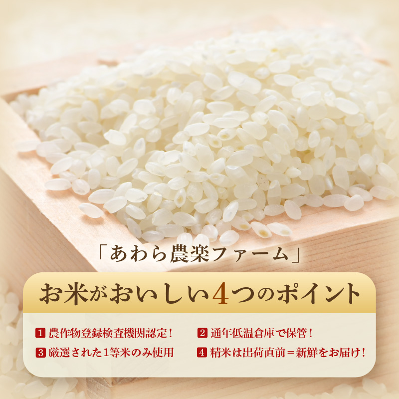 【令和7年産・新米】【一等米】 ＜定期便12回＞ ハナエチゼン 精米 10kg × 12回（120kg）《発送直前精米！》 ／ 福井県産 ブランド米 ご飯 白米 お米 コメ 新鮮 大賞 受賞 新米 [aw012-o004]