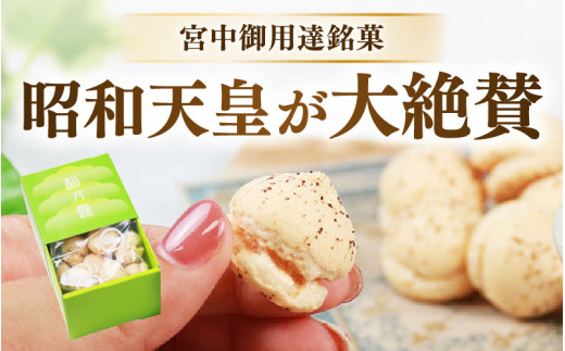 【あわら市銘菓】松乃露 4箱入 （計64個入り）/ 伝統銘菓 銘菓 菓子 マカロン メレンゲ 珈琲 抹茶 ブランデー 茶菓子お酒に合う スイーツ コーヒー  食品添加物不使用 手作り お土産 [aw019-a002]