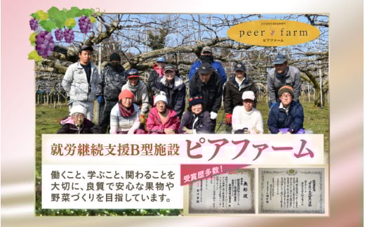 【福井県あわら市産】夢の果実直送便 梨ジュース（720ml×2本） / ストレートジュース 梨 新興梨 ジュース 果物 フルーツ 果汁100 ギフト プレゼント 贈り物 福井県 あわら市 [aw023-a002]