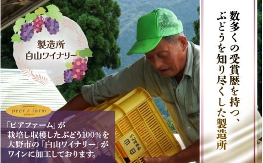 【福井県あわら市産】ふくいワイン【赤】 1本 / ワイン ワイナリー 赤ワイン ライトボディ ぶどう 葡萄 ふくいワイン ブランド フルーティー なめらか 人気 おすすめ プレゼント 贈り物 福井県 あわら市 [aw023-a003]