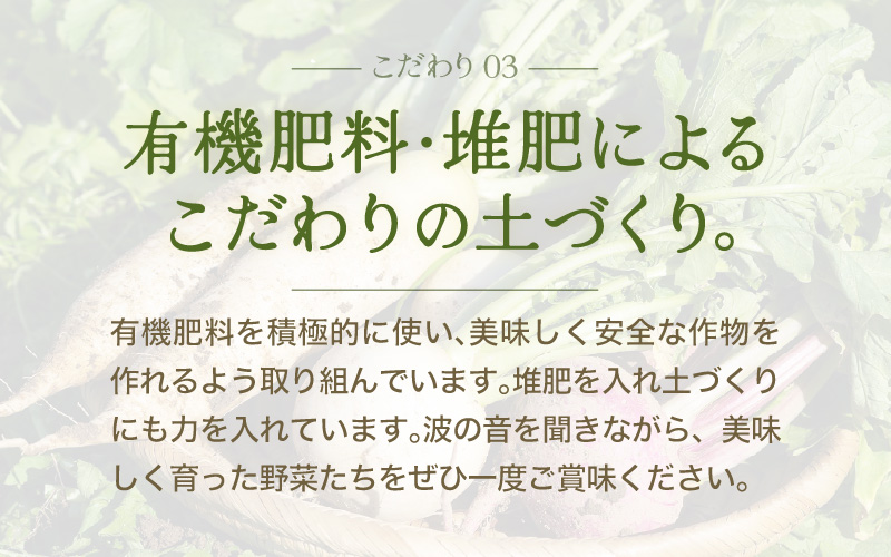 【先行予約】農家直送 春野菜セット 1箱 7品目以上 《元気に育った新鮮野菜！》 ※2026年4月下旬以降順次発送予定 [aw028-a008]