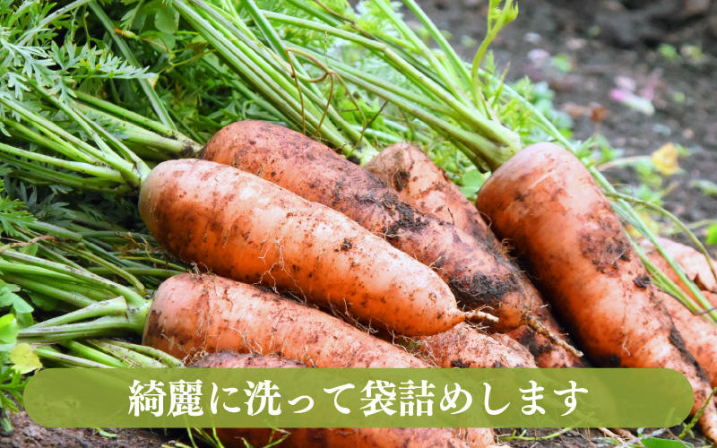 【5営業日発送！】農家直送 旬の野菜セット 7品目以上 1箱 [aw028-a012]