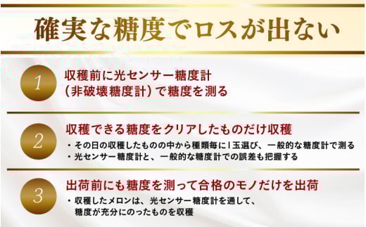 【先行予約】青肉アールスナイト 秀品 1玉（1.5kg以上）【アールス系青肉メロン】《糖度16度程度！1株1果採りで育てる高級メロン！》／ 果物 フルーツ 農家直送 青肉 マスクメロン アールスメロン ギフト 贈答用 ※2026年7月上旬より順次発送予定 [aw028-a016]
