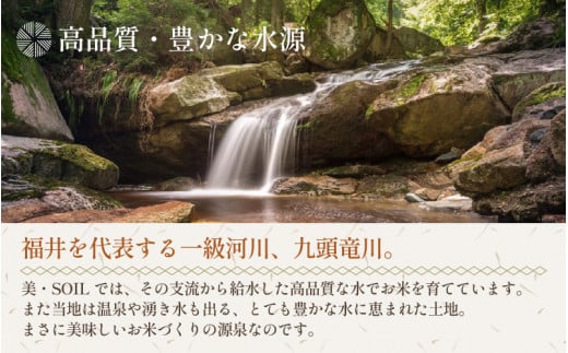【先行予約】【令和8年産 新米】定期便《6ヶ月連続お届け》5kg×6回（計30kg） 特別栽培米 ミルキークイーン 精米 低農薬 《食味値85点以上！こだわり精米》 / 福井県 あわら市 北陸 米 お米 人気 白米 精米 ※2026年9月中旬より順次発送 [aw032-j005]