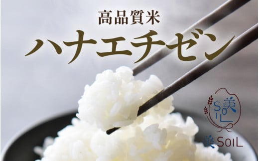 【先行予約】【令和8年産・新米】《定期便》特別栽培米 ハナエチゼン 低農薬 5kg×12回 60kg 《食味値85点以上！こだわり極上米》 / 福井県 あわら 北陸 米 お米 人気 ※2026年9月下旬以降順次発送 [aw032-n004]