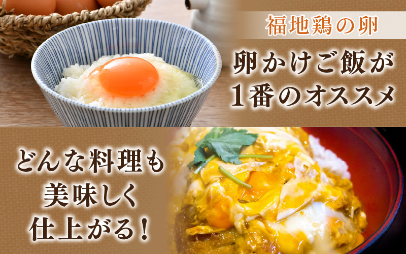 福井ブランド「福地鶏」セット（モモロール2本・2種のソーセージ・卵）お肉と卵が存分に堪能できる！ [aw036-b004]
