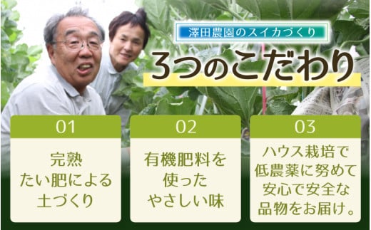 【先行予約】アムス・マリアージュメロン 2種（1.3kg以上2玉入）農園1番のおすすめ！ / 期間限定 果物 フルーツ 産地直送 青肉 赤肉 人気 ※2026年7月上旬より順次発送 [aw039-a003]