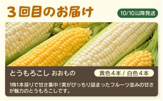 【先行予約】≪定期便/全3回≫フルーツ王国あわらのこだわり5品 農家直送 厳選品／ 期間限定 果物 フルーツ 青肉メロン 赤肉メロン 西瓜 とうもろこし 産地直送 ※2026年6月中旬より順次発送 [aw039-c001]