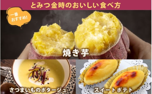 【先行予約】さつまいも とみつ金時 5kg（S～Lサイズ）あわら産 熟成 ／ 焼き芋 スイートポテト 農家直送 期間限定  野菜 常備【2025年12月中旬以降順次発送予定】 [aw041-a001]