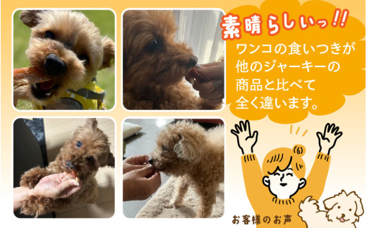 【訳あり】【定期便3回】【国産 鶏肉】20本×3回 ワンちゃんのチキンジャーキー  / ドックフード 手作り やみつき くいつき 犬用 小型犬 中型犬 大型犬 ペットフード 味付けなし [aw044-a001]