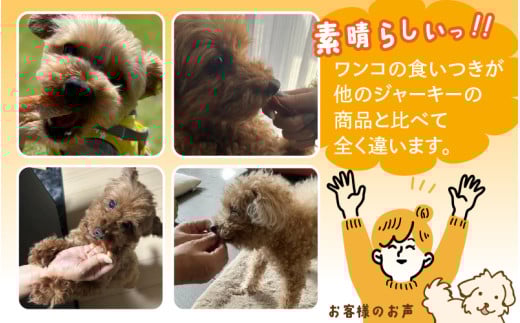 【訳あり】【国産 鶏肉】 ３0本入り ワンちゃんのチキンジャーキー / ドックフード 手作り やみつき くいつき 犬用 小型犬 中型犬 大型犬 ペットフード 味付けなし [aw044-a003]