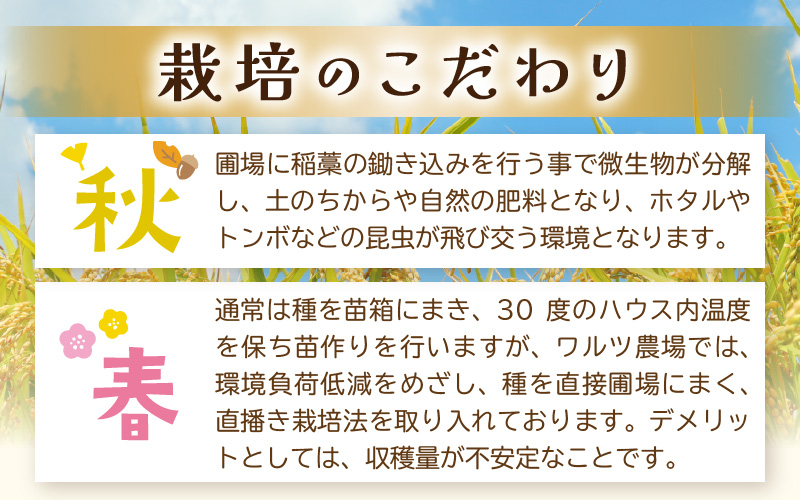 【先行予約】【令和8年産 新米】ワルツ農場の直播き コシヒカリ クリーン精米（無洗米） 5kg / お米 ご飯 白米 発送直前 精米 つや 艶 甘味 旨み あわら市産 福井県産 慣行栽培 コメ 北陸 福井県 あわら市 ※2026年10月下旬以降発送予定 [aw046-a007]