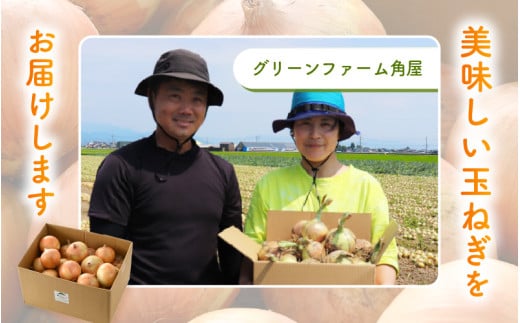 【先行予約】玉ねぎ 5kg（サイズ S M L ミックス）田んぼで育てた甘くて柔らか自慢の玉ねぎ！／ 野菜 万能 料理 常備 玉葱 BBQ たまねぎ 玉ネギ サラダ スープ ※2026年7月上旬より順次発送予定 [aw056-a021]