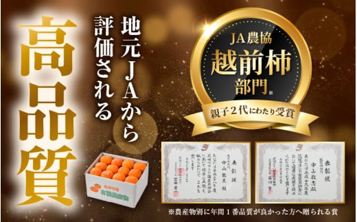 【先行予約】越前柿 16個入 約2.5kg（M～2L）≪JA受賞歴親子２代≫ ／ 果物 フルーツ 柿 産地直送 期間限定 ※2026年11月上旬より順次発送 [aw061-a003]