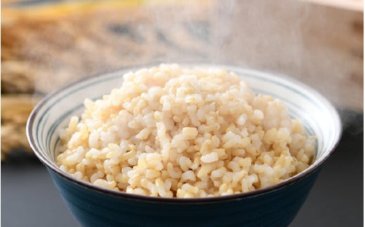 【先行予約】【令和8年産 新米】エコ栽培コシヒカリ 玄米10kg（5kg×2） ／ 鮮度抜群 福井県産 こしひかり ご飯 新鮮 玄米 ※2026年10月上旬以降順次発送 [aw063-b007]