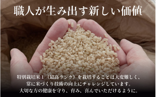 【先行予約】【令和8年産 新米】定期便《12ヶ月連続お届け》コシヒカリ 玄米 5kg （計60kg）特別栽培米 農薬不使用 化学肥料不使用 ／ 残留農薬ゼロ 高品質 鮮度抜群 福井県産 ブランド米 玄米 ※2026年10月上旬以降順次発送 [aw063-n003]