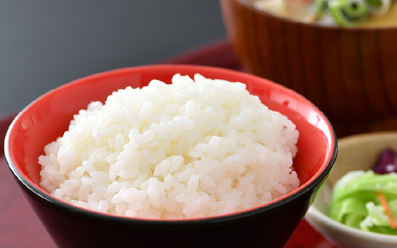 【先行予約】【令和8年産 新米】《定期便6回》エコ栽培コシヒカリ 白米10kg（5kg×2袋）計60kg ／ 鮮度抜群 福井県産 こしひかり ご飯 新鮮 白米 ※2026年10月上旬以降順次発送 [aw063-l004]