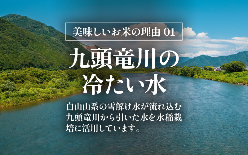 【先行予約】【令和8年産 新米】 定期便≪12ヶ月連続お届け≫エコ栽培ハナエチゼン 精米 10kg×12回（計120kg）／ 鮮度抜群 福井県産 はなえちぜん ご飯 新鮮 白米 ※2026年9月上旬以降順次発送予定 [aw063-o006]