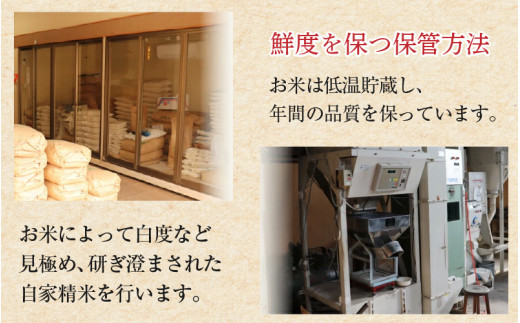 【令和7年産・新米】いちほまれ 玄米 5kg×1袋《新鮮な高品質米をお届け！》／ 福井県産 ブランド米 ご飯 [aw064-a014]