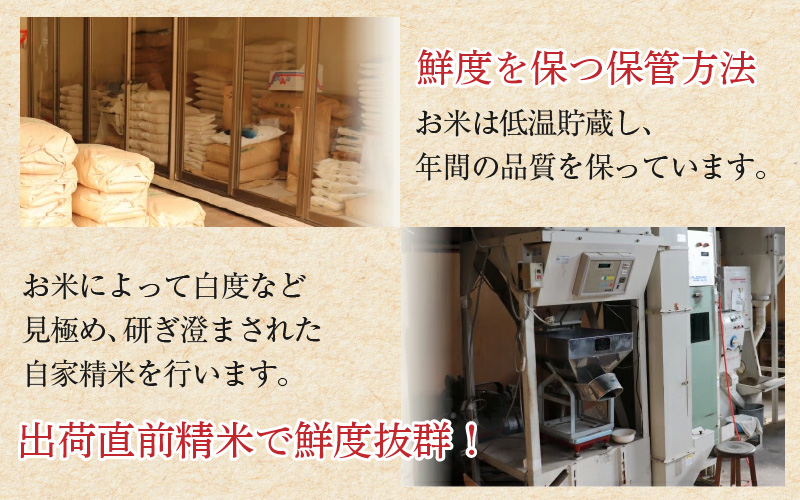 【令和7年産】コシヒカリ 精米 10kg×1袋 《お米マイスターが発送直前に精米！》／ 米 お米 10キロ 福井県産 ブランド米 ご飯 白米 新鮮 [aw064-b009]