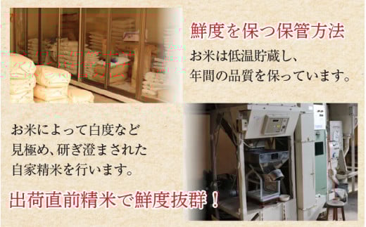 【令和7年産・新米】定期便6回 いちほまれ 精米 5kg×6回（計30kg）《お米マイスターが発送直前に精米！》 ／ 福井県産 ブランド米 ご飯 白米 新鮮 [aw064-i002]