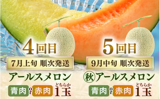 【先行予約】《定期便全5回》フルーツ大満足定期便 ／ すいか マスクメロン 高級メロン 大玉 果物 フルーツ 夏 ギフト 農家直送 ※2026年6月上旬以降発送  [aw065-d001]