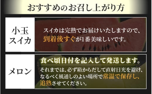 【先行予約】佐藤農園の小玉スイカ・マルセイユメロン セット 計2玉（約2.5kg～3kg） 秀品 農家直送 有機肥料 低農薬 ※2026年6月上旬より順次発送 [aw069-a004]