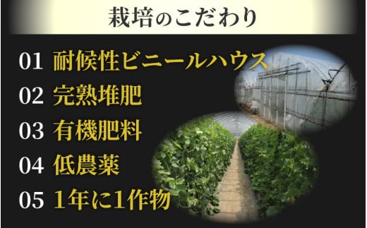 【先行予約】【秀品】佐藤農園の小玉スイカとレノンメロンのセット 計2玉 / 農家直送 有機肥料 低農薬 すいか フルーツ 果物 くだもの 野菜 赤い食べ物 甘い 贈答 旬 夏 福井県あわら市産 ※2026年6月中旬より発送順次発送 [aw069-a010]