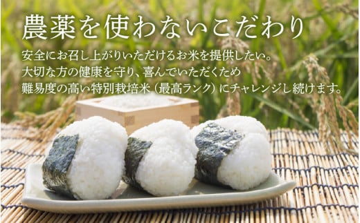 【先行予約】【令和8年産 新米】伊与衛門農園のコシヒカリ 玄米 5kg 特別栽培米 化学肥料不使用 ＜温度と湿度を常時管理し新鮮米を出荷！＞／ 高品質 鮮度抜群 福井県あわら産 ブランド米 お米 ※2026年9月下旬より順次発送予定 [aw071-a008]