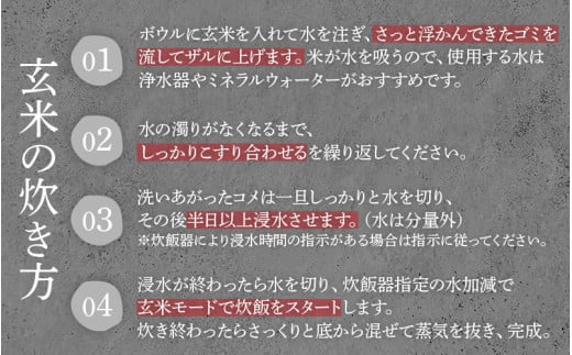 【先行予約】【令和8年産 新米】【定期便12回】伊与衛門農園の自然栽培コシヒカリ玄米 5kg×12回 伊与衛門農園の特別栽培米 ＜温度と湿度を常時管理し新鮮米を出荷！＞ / 米 自然の力 高品質 鮮度抜群 ブランド米 福井県 あわら市産 スマート農業 ※2026年10月下旬より順次発送予定 [aw071-o003]