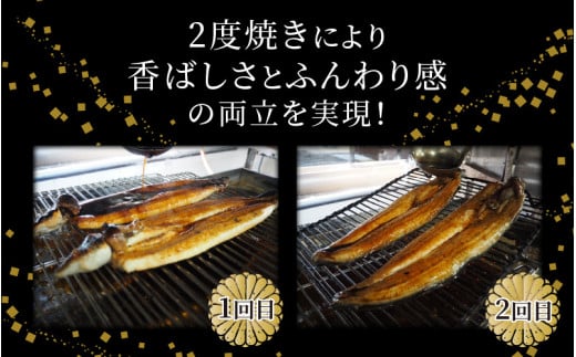 国産 活うなぎ蒲焼 有頭 約270gを1尾 1～2人前《ご寄付後、発送直前に1つ1つ手焼き！》【年内発送受付12月15日まで】／ 高級 特大 ウナギ 老舗魚屋 タレ レンジ 温めるだけ 簡単 土用の丑 うな重 うな丼 自家製タレ付 [aw072-a001]