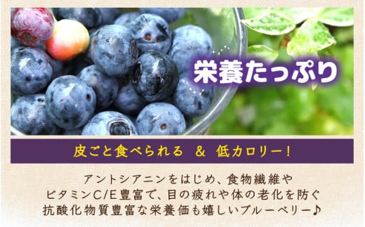 【先行予約】【訳あり】【冷凍】あわらフルーツランドのブルーベリー 800g （400g×2袋） 【完熟】 / フルーツ 果物 くだもの 福井県 あわら市 小分け 便利 たっぷり 完熟 ご当地 国産 おすすめ ※2026年8月上旬より順次発送 [aw091-a002]