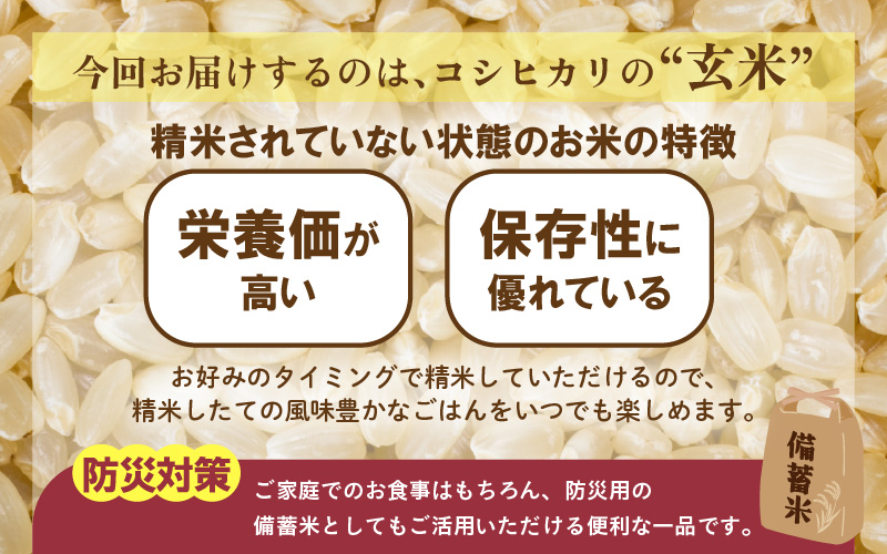 【先行予約】【令和8年産】コシヒカリ 玄米 20kg / 米 こしひかり コシヒカリ 福井県 一等米 玄米 あわら市 福井県 コスパ ※2026年9月下旬より順次発送予定 [aw096-d003]