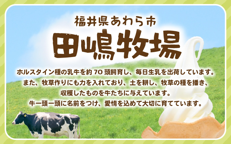田嶋牧場のソフトクリーム屋 ソフトクリーム 引換券 12枚 / ソフトクリームフレッシュみるく味ふつうサイズ(コーンまたはカップ) 引換券 デザート スイーツ 旅行 アイス アイスクリーム 手作り 牧場直送 [aw109-a003]