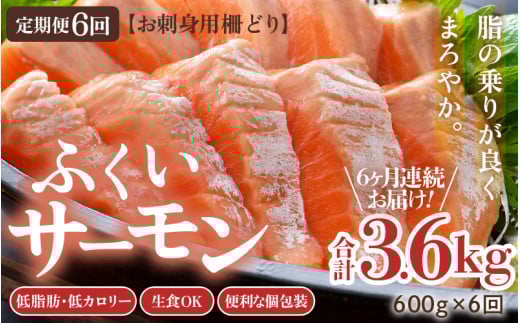 《定期便6回》ふくいサーモン 柵どり 150g×4パック 計600g ＜鮮度抜群！真空冷凍＞ ／ 生食OK 刺身 鮭 国産 [aw002-k001]