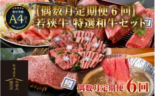 【偶数月定期便6回コース】若狭牛 特選和牛セット ／ 国産 牛肉 焼肉 モモブロック ステーキ しゃぶしゃぶ すき焼き ブランド牛 贅沢  A4 A5 ギフト [aw009-r001]