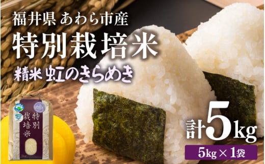 【令和7年産】化学肥料不使用 特別栽培米 虹のきらめき 精米 5kg / 白米 米 福井県あわら市産 美味しい 特別栽培米 減農薬 安心な米 旨味 甘み もっちり 冷蔵保管米 [aw010-a017]