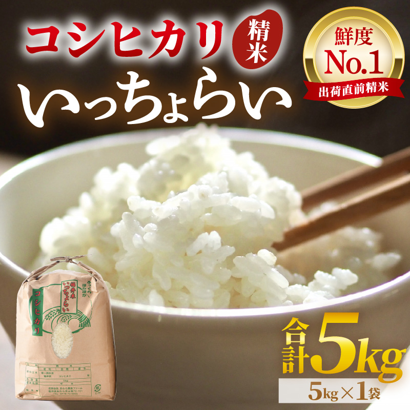 【令和7年産・新米】【一等米】いっちょらい 精米 5kg ／ 福井県産 ブランド米 ご飯 白米 お米 コメ 新鮮 大賞 受賞 新米 福井県あわら産 [aw012-a020]