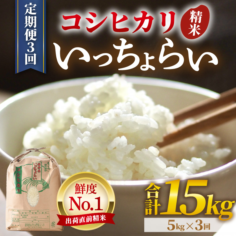 【先行予約】【令和8年産・新米】【一等米】《定期便3回》いっちょらい 精米 5kg × 3回（計15kg）／ 福井県産 ブランド米 コシヒカリ ご飯 白米 新鮮 大賞 受賞 新米 福井県あわら産 ※2026年10月上旬以降順次発送予定 [aw012-c009]
